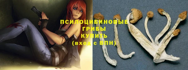 крисы Алексин