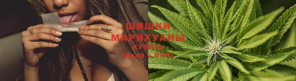 скорость Алзамай