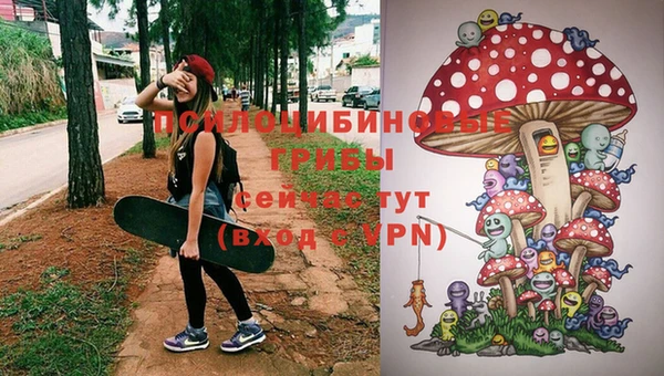 скорость Алзамай