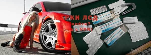 скорость Алзамай