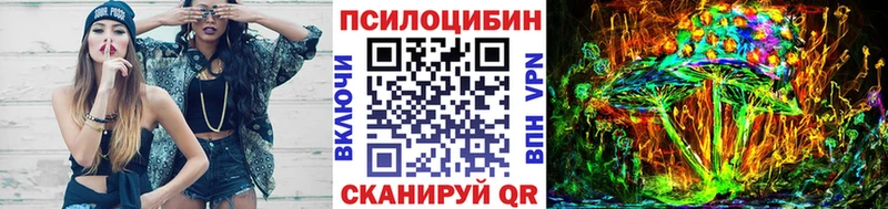 Псилоцибиновые грибы Psilocybe  Моздок 