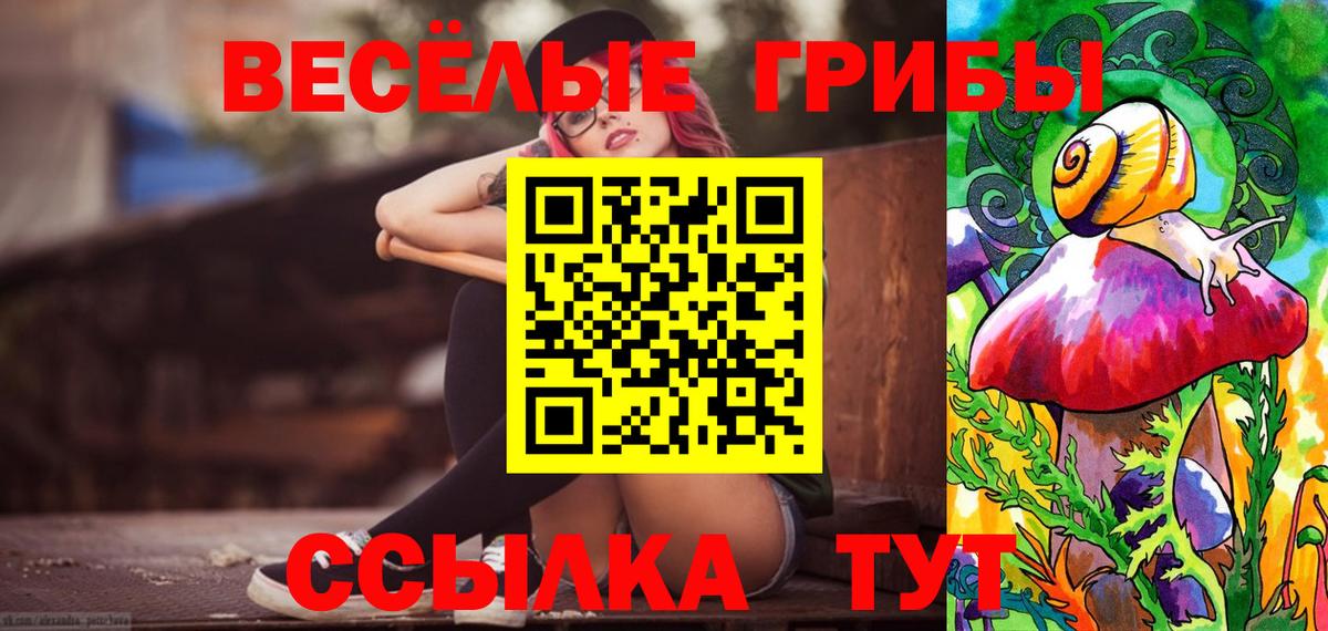 Галлюциногенные грибы Psilocybe Моздок
